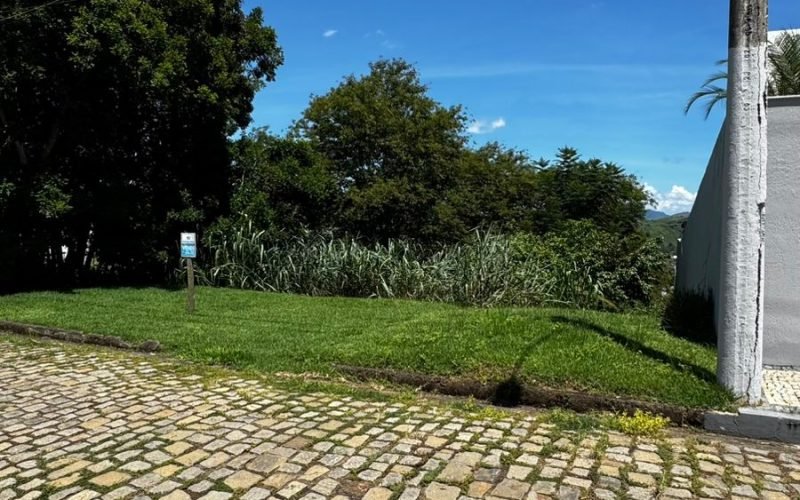 TERRENO SR ARMANDO 04