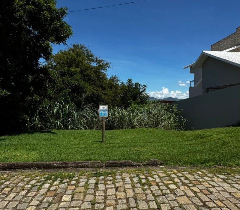 TERRENO SR ARMANDO 05